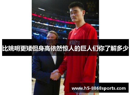 比姚明更矮但身高依然惊人的巨人们你了解多少