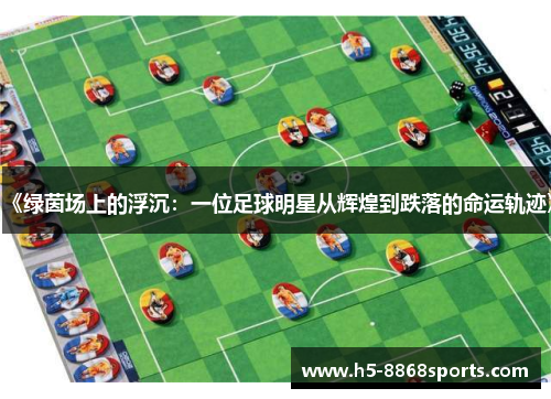《绿茵场上的浮沉：一位足球明星从辉煌到跌落的命运轨迹》